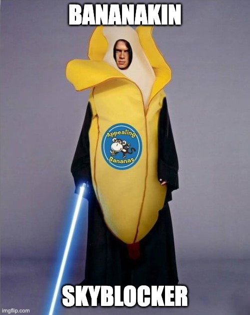 Bananakin. You are the chosen one. | BANANAKIN; SKYBLOCKER | image tagged in star wars | made w/ Imgflip meme maker