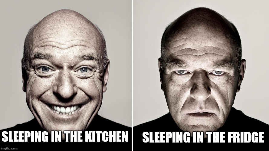 Dean Norris Reaction | SLEEPING IN THE KITCHEN SLEEPING IN THE FRIDGE | image tagged in dean norris reaction | made w/ Imgflip meme maker