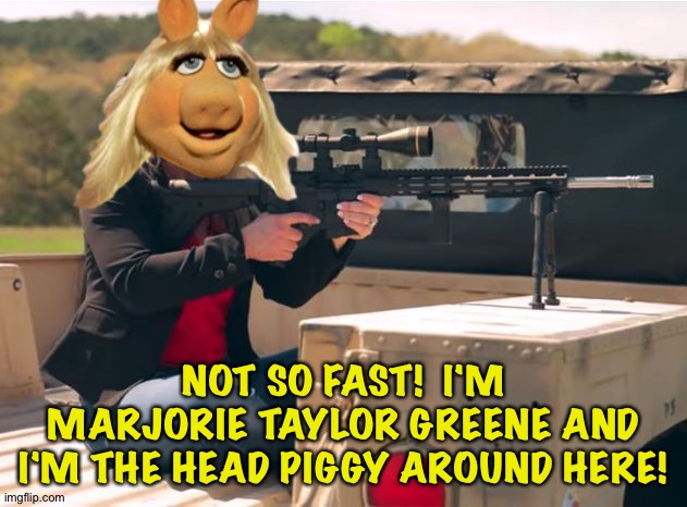 Q Crazy | NOT SO FAST!  I'M MARJORIE TAYLOR GREENE AND I'M THE HEAD PIGGY AROUND HERE! | image tagged in q crazy | made w/ Imgflip meme maker