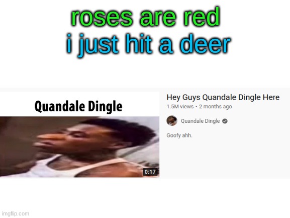 Blank White Template | i just hit a deer; roses are red | image tagged in blank white template | made w/ Imgflip meme maker
