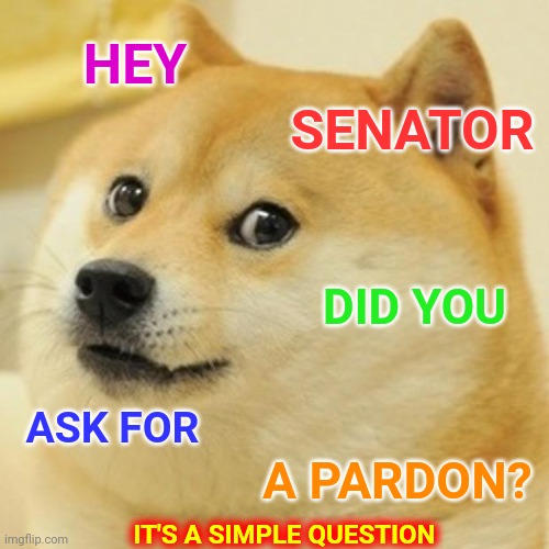 Let's See The List Of Senators/Traitors Who Asked Trump For A Pardon | HEY; SENATOR; DID YOU; ASK FOR; A PARDON? IT'S A SIMPLE QUESTION | image tagged in memes,doge,traitors,trumpublican terrorists,lock them up,the lowest scum in history | made w/ Imgflip meme maker
