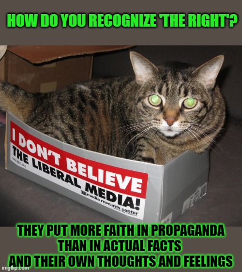 This #lolcat wonders how you can easily spot 'the right' | HOW DO YOU RECOGNIZE 'THE RIGHT'? THEY PUT MORE FAITH IN PROPAGANDA
THAN IN ACTUAL FACTS 
AND THEIR OWN THOUGHTS AND FEELINGS | image tagged in propaganda,lolcat,right wing,gullible | made w/ Imgflip meme maker