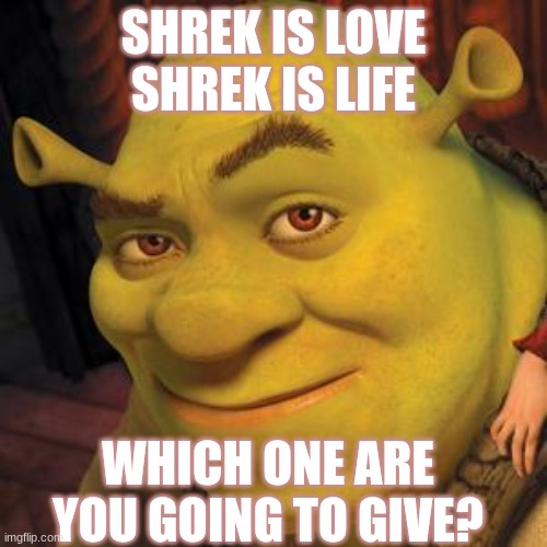 shrek? | SHREK IS LOVE SHREK IS LIFE; WHICH ONE ARE YOU GOING TO GIVE? | image tagged in shrek sexy face | made w/ Imgflip meme maker