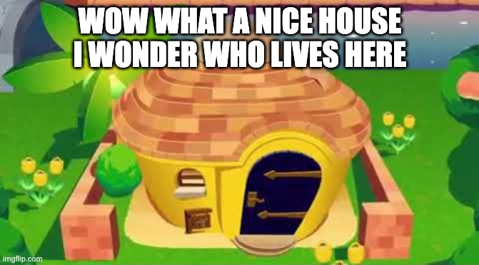 sussy house | WOW WHAT A NICE HOUSE
I WONDER WHO LIVES HERE | image tagged in ankha zone house | made w/ Imgflip meme maker