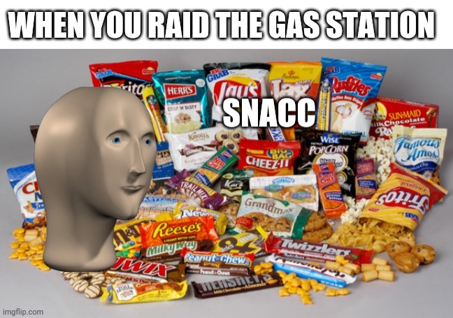 I want it all, and I want it now | WHEN YOU RAID THE GAS STATION | image tagged in blank white template,snacc | made w/ Imgflip meme maker