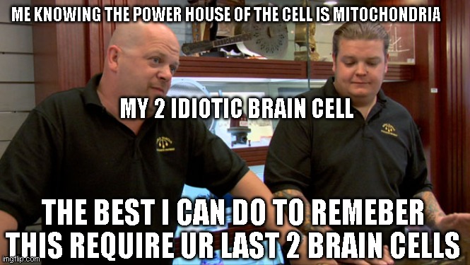 thx for -1 bron cells | ME KNOWING THE POWER HOUSE OF THE CELL IS MITOCHONDRIA; MY 2 IDIOTIC BRAIN CELL; THE BEST I CAN DO TO REMEBER THIS REQUIRE UR LAST 2 BRAIN CELLS | image tagged in pawn stars best i can do | made w/ Imgflip meme maker