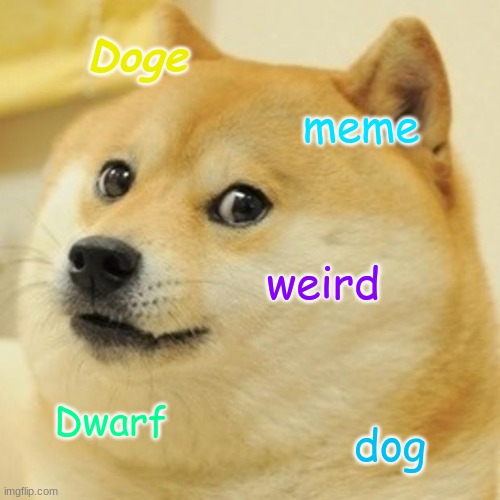 Doge Meme | Doge; meme; weird; Dwarf; dog | image tagged in memes,doge | made w/ Imgflip meme maker