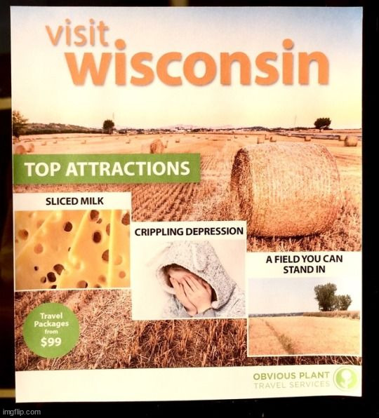 I lived there so I can appreciate this | image tagged in wisconsin,fake | made w/ Imgflip meme maker