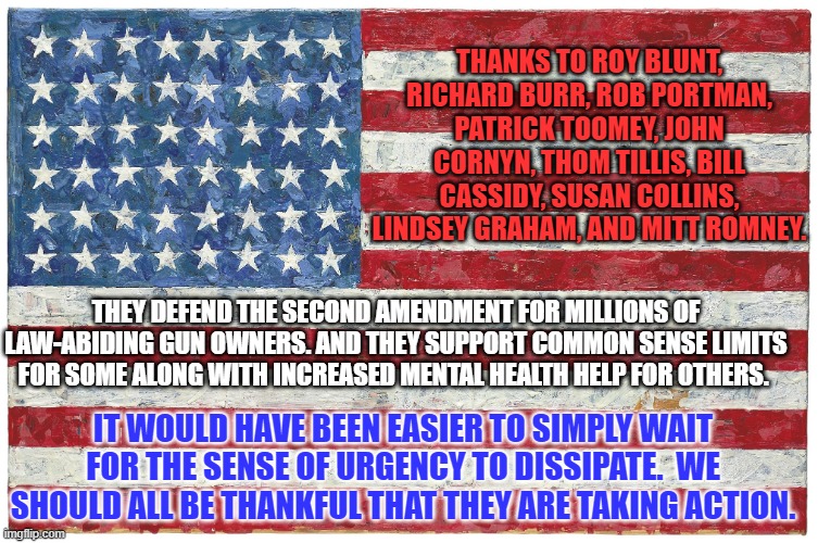 We can't change the past. This law makes sense for the "right now." | THANKS TO ROY BLUNT, RICHARD BURR, ROB PORTMAN, PATRICK TOOMEY, JOHN CORNYN, THOM TILLIS, BILL CASSIDY, SUSAN COLLINS, LINDSEY GRAHAM, AND MITT ROMNEY. THEY DEFEND THE SECOND AMENDMENT FOR MILLIONS OF LAW-ABIDING GUN OWNERS. AND THEY SUPPORT COMMON SENSE LIMITS FOR SOME ALONG WITH INCREASED MENTAL HEALTH HELP FOR OTHERS. IT WOULD HAVE BEEN EASIER TO SIMPLY WAIT FOR THE SENSE OF URGENCY TO DISSIPATE.  WE SHOULD ALL BE THANKFUL THAT THEY ARE TAKING ACTION. | image tagged in us flag | made w/ Imgflip meme maker