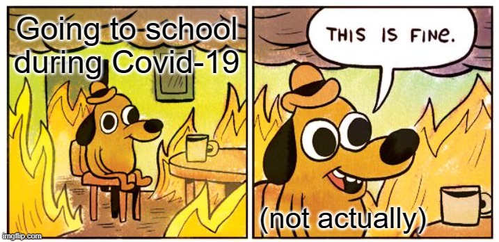 Schools | Going to school during Covid-19; (not actually) | image tagged in memes,this is fine | made w/ Imgflip meme maker