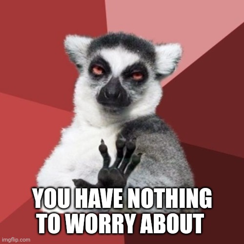 Chill Out Lemur Meme | YOU HAVE NOTHING TO WORRY ABOUT | image tagged in memes,chill out lemur | made w/ Imgflip meme maker