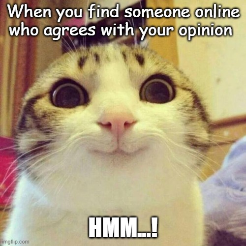 Good to find such users. |  When you find someone online who agrees with your opinion; HMM...! | image tagged in memes,smiling cat | made w/ Imgflip meme maker