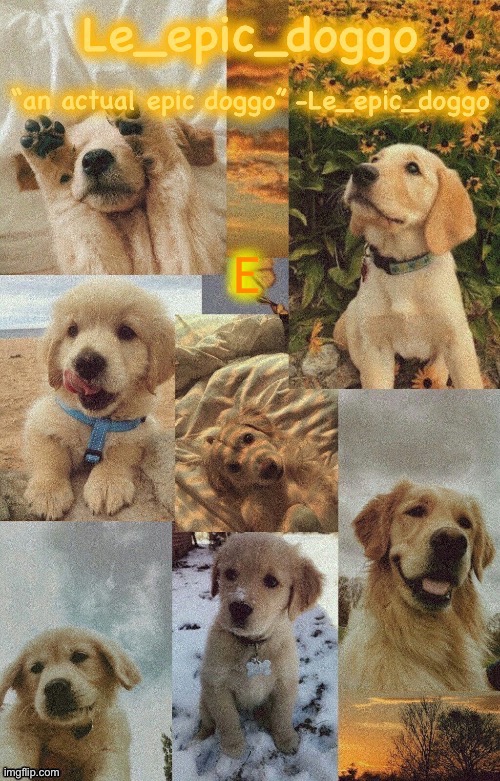 Doggo temp by doggo. Wait what that’s confusing | E | image tagged in doggo temp by doggo wait what that s confusing | made w/ Imgflip meme maker