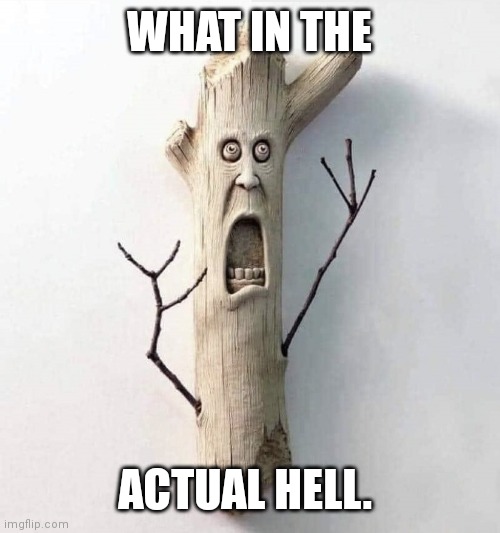 353 views, 1 upvote | WHAT IN THE; ACTUAL HELL. | image tagged in petrified wood | made w/ Imgflip meme maker