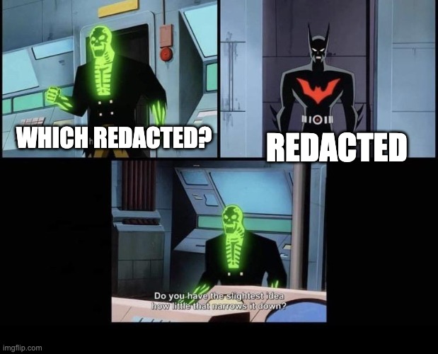 do you have any idea how little that narrows it down | WHICH REDACTED? REDACTED | image tagged in do you have any idea how little that narrows it down | made w/ Imgflip meme maker
