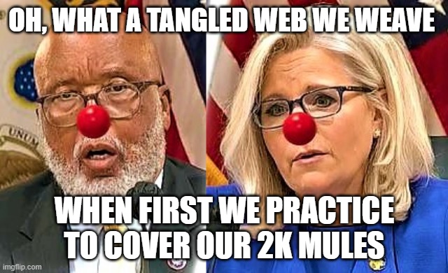 We're ALL in This Together | OH, WHAT A TANGLED WEB WE WEAVE; WHEN FIRST WE PRACTICE TO COVER OUR 2K MULES | image tagged in bennie thompson and liz cheney | made w/ Imgflip meme maker