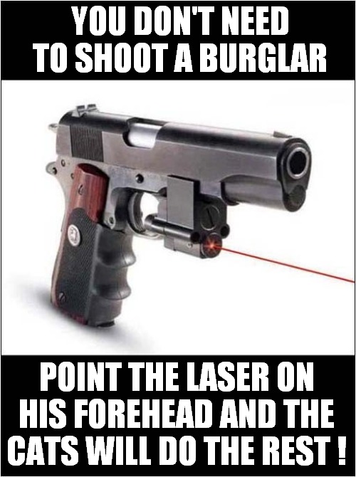 Why Waste Ammo ! | YOU DON'T NEED TO SHOOT A BURGLAR; POINT THE LASER ON HIS FOREHEAD AND THE CATS WILL DO THE REST ! | image tagged in burglar,laser,cats,dark humour | made w/ Imgflip meme maker