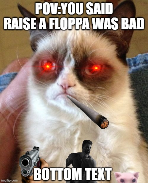 Grumpy Cat Meme | POV:YOU SAID RAISE A FLOPPA WAS BAD; BOTTOM TEXT | image tagged in memes,grumpy cat | made w/ Imgflip meme maker