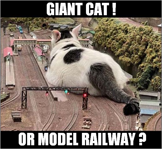 You Must Decide ! | GIANT CAT ! OR MODEL RAILWAY ? | image tagged in cats,model,trains,optical illusion | made w/ Imgflip meme maker
