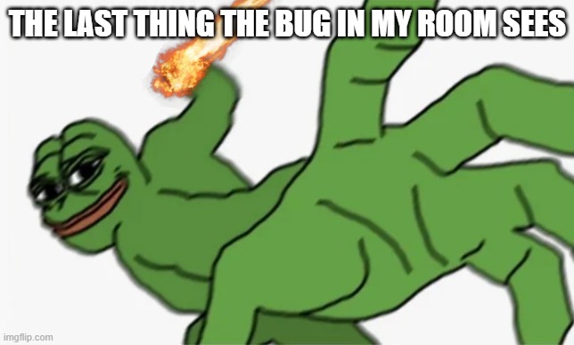 pepe punch |  THE LAST THING THE BUG IN MY ROOM SEES | image tagged in pepe punch,prepare to die,nani,bugs,memes,funny meme | made w/ Imgflip meme maker