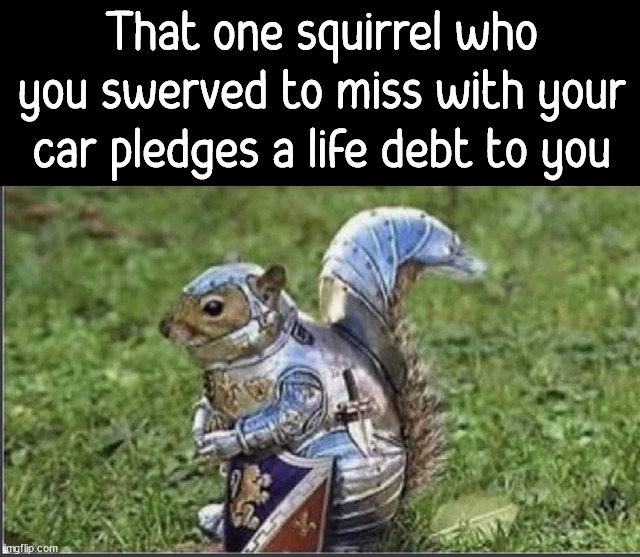 When you save a life |  That one squirrel who you swerved to miss with your car pledges a life debt to you | image tagged in life,debt,squirrel | made w/ Imgflip meme maker