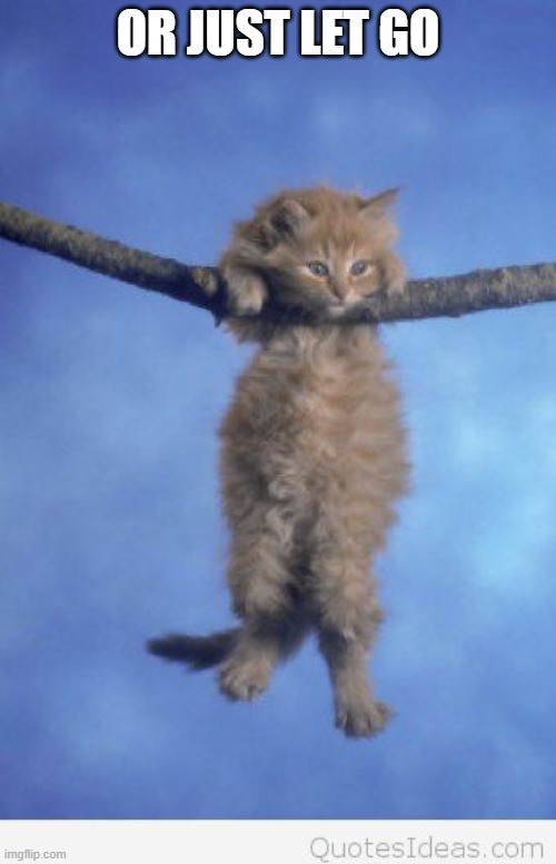 Hang in there | OR JUST LET GO | image tagged in hang in there | made w/ Imgflip meme maker