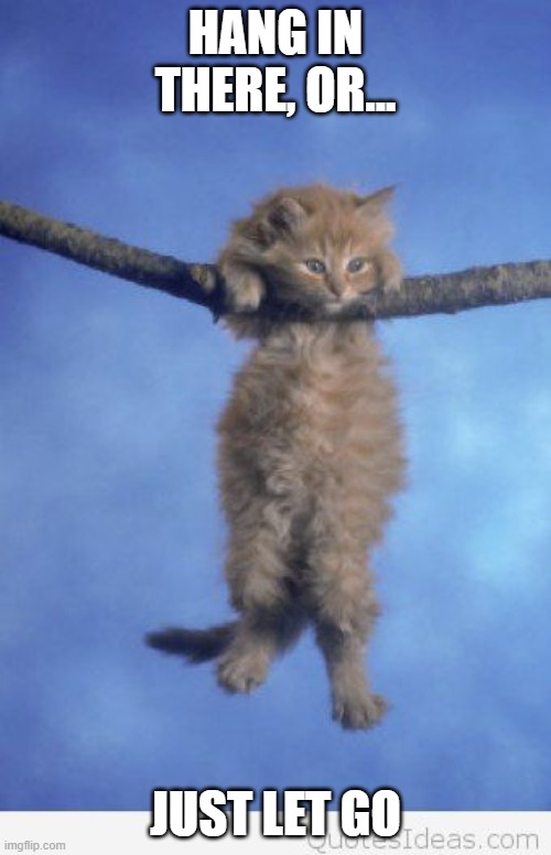 Meow | HANG IN THERE, OR... JUST LET GO | image tagged in hang in there | made w/ Imgflip meme maker