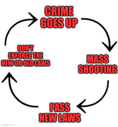 the circle of life | CRIME GOES UP; DON'T ENFORCE THE NEW OR OLD LAWS; MASS SHOOTING; PASS NEW LAWS | image tagged in the circle of life | made w/ Imgflip meme maker