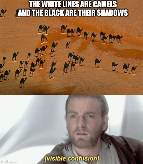 CAMELS | THE WHITE LINES ARE CAMELS AND THE BLACK ARE THEIR SHADOWS | image tagged in visible confusion | made w/ Imgflip meme maker