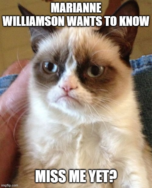 Yup | MARIANNE WILLIAMSON WANTS TO KNOW; MISS ME YET? | image tagged in memes,grumpy cat | made w/ Imgflip meme maker