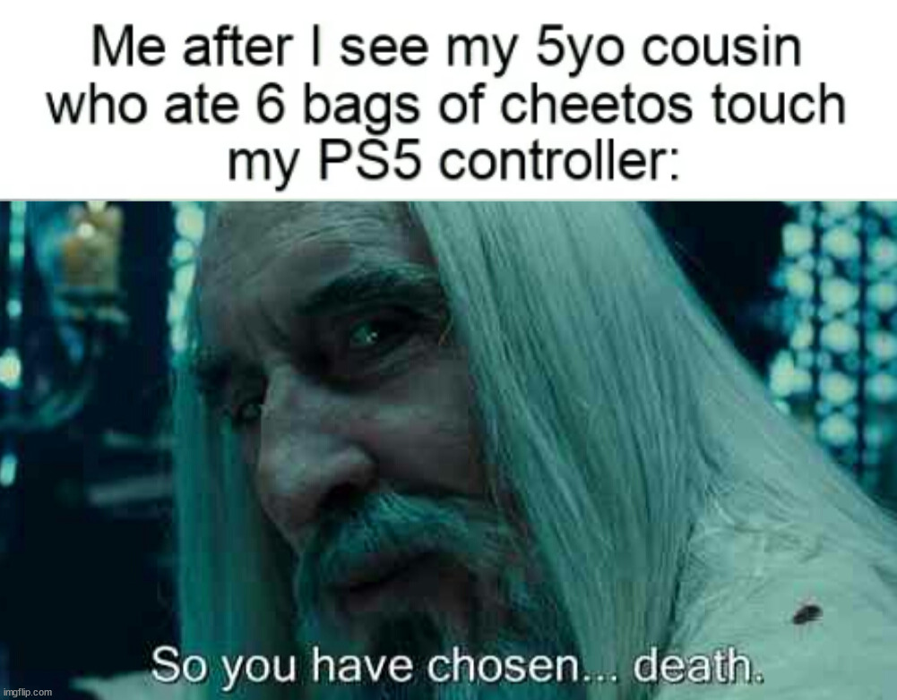 Keep those cheesy fingers off my controller | image tagged in so you have chosen death,gaming | made w/ Imgflip meme maker