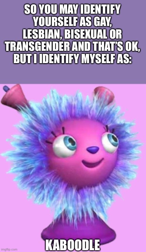 Repost if you agree | SO YOU MAY IDENTIFY YOURSELF AS GAY, LESBIAN, BISEXUAL OR TRANSGENDER AND THAT’S OK, BUT I IDENTIFY MYSELF AS:; KABOODLE | image tagged in gay,lesbian,bisexual,transgender,repost | made w/ Imgflip meme maker