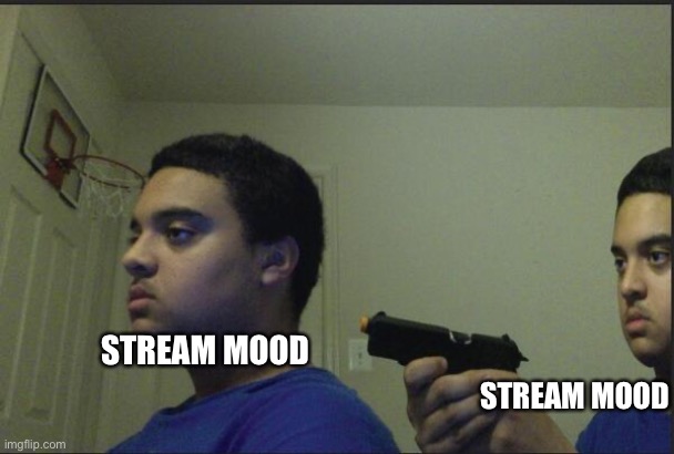 Trust Nobody, Not Even Yourself | STREAM MOOD; STREAM MOOD | image tagged in trust nobody not even yourself | made w/ Imgflip meme maker