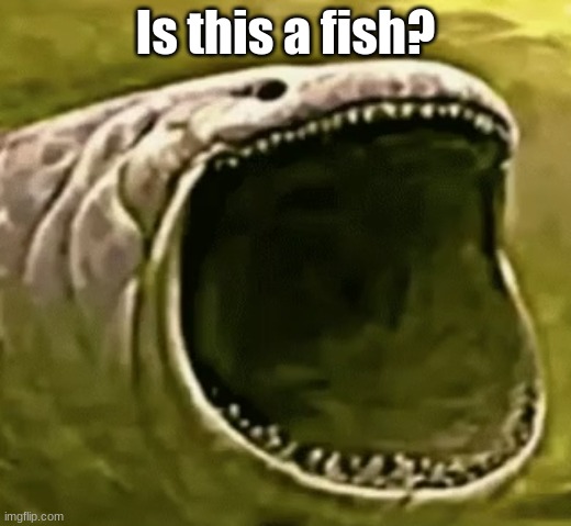 Is this a fish? | Is this a fish? | image tagged in fish,cult of fish | made w/ Imgflip meme maker