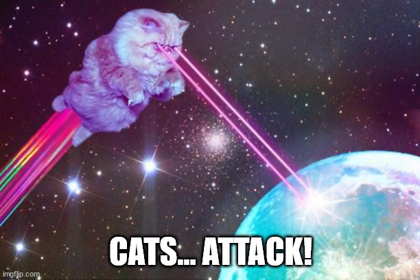 laser cat | CATS... ATTACK! | image tagged in laser cat | made w/ Imgflip meme maker
