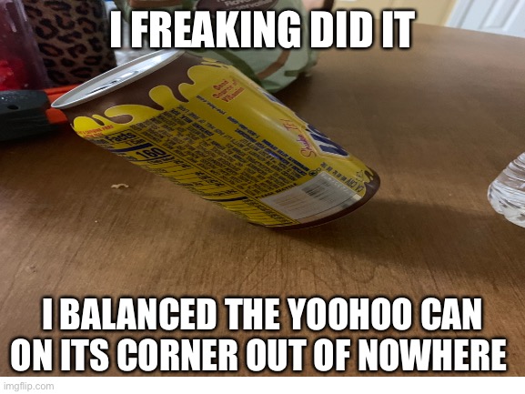I balanced it | I FREAKING DID IT; I BALANCED THE YOOHOO CAN ON ITS CORNER OUT OF NOWHERE | image tagged in and now,i don't,want to,pick it,up | made w/ Imgflip meme maker