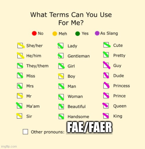 Pronouns Sheet | FAE/FAER | image tagged in pronouns sheet | made w/ Imgflip meme maker
