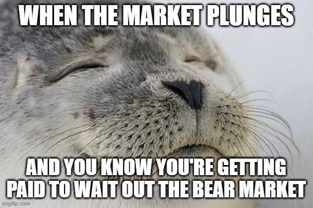 Satisfied Seal | WHEN THE MARKET PLUNGES; AND YOU KNOW YOU'RE GETTING PAID TO WAIT OUT THE BEAR MARKET | image tagged in satisfied seal,dividends | made w/ Imgflip meme maker