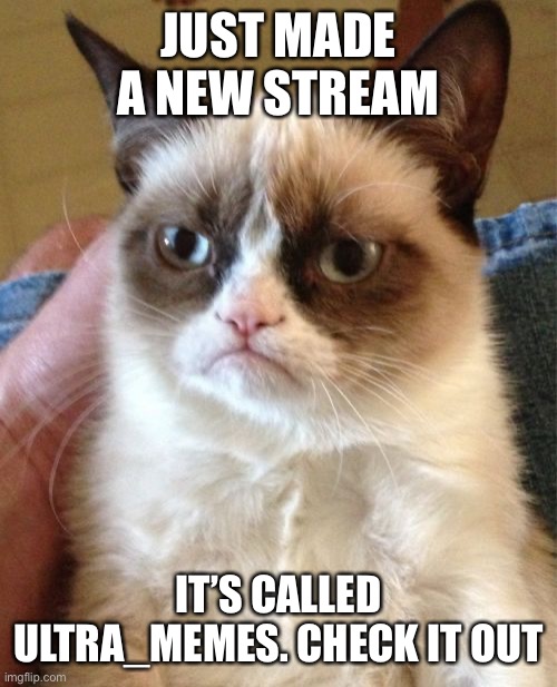 Check it out | JUST MADE A NEW STREAM; IT’S CALLED ULTRA_MEMES. CHECK IT OUT | image tagged in memes,grumpy cat | made w/ Imgflip meme maker