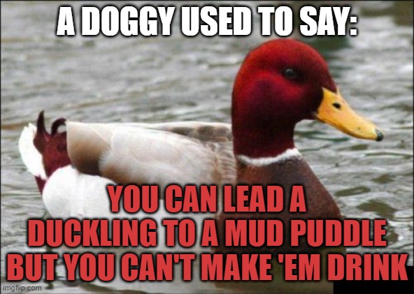 Malicious Advice Mallard Meme | A DOGGY USED TO SAY: YOU CAN LEAD A DUCKLING TO A MUD PUDDLE BUT YOU CAN'T MAKE 'EM DRINK | image tagged in memes,malicious advice mallard | made w/ Imgflip meme maker