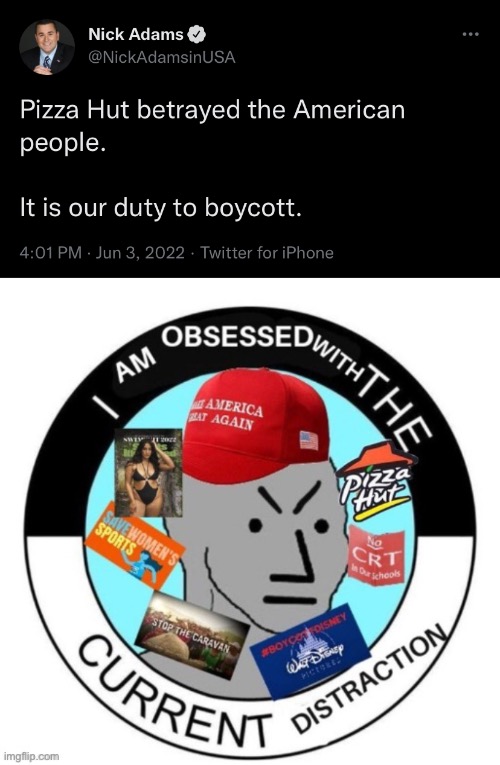 Do republicans even care about anything that matters? | image tagged in npc meme,pizza hut,crt,disney,conservatives | made w/ Imgflip meme maker