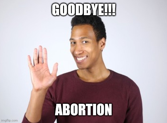 GOODBYE!!! ABORTION | image tagged in funny memes | made w/ Imgflip meme maker
