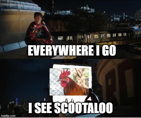 scootaloo is chicken | EVERYWHERE I GO; I SEE SCOOTALOO | image tagged in every where i go i see his face,mlp,chicken,scootaloo,fim,fun | made w/ Imgflip meme maker