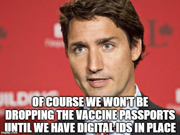 Trudeau | OF COURSE WE WON'T BE DROPPING THE VACCINE PASSPORTS UNTIL WE HAVE DIGITAL IDS IN PLACE | image tagged in trudeau | made w/ Imgflip meme maker