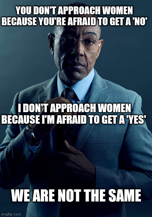 Tasted freedom, can't give it up again | YOU DON'T APPROACH WOMEN BECAUSE YOU'RE AFRAID TO GET A 'NO'; I DON'T APPROACH WOMEN BECAUSE I'M AFRAID TO GET A 'YES'; WE ARE NOT THE SAME | image tagged in gus fring we are not the same,commitment,funny,memes,breaking bad | made w/ Imgflip meme maker