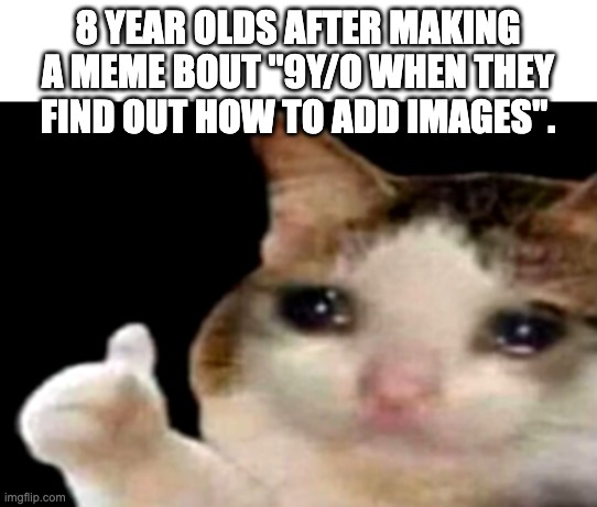 Sad cat thumbs up | 8 YEAR OLDS AFTER MAKING A MEME BOUT "9Y/O WHEN THEY FIND OUT HOW TO ADD IMAGES". | image tagged in sad cat thumbs up,sad,feels bad man,you are the very thing to swore to destroy | made w/ Imgflip meme maker
