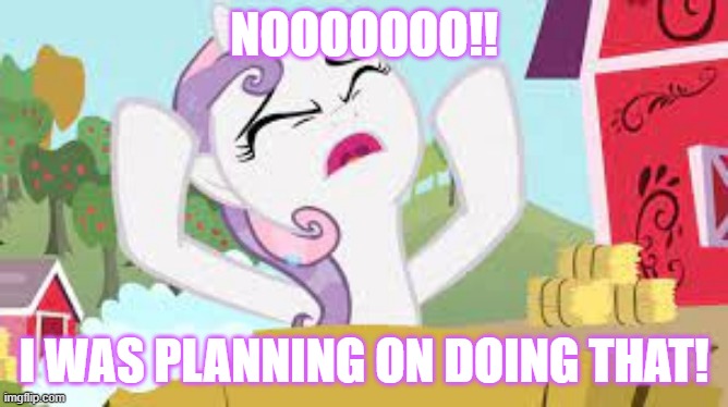 when someone changed the channel and i wanted to do it | NOOOOOOO!! I WAS PLANNING ON DOING THAT! | image tagged in mlp,fun,fim,funny memes,funny,memes | made w/ Imgflip meme maker