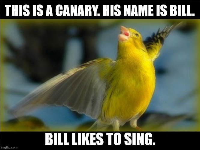 singing bill |  THIS IS A CANARY. HIS NAME IS BILL. BILL LIKES TO SING. | image tagged in gop,democrat,democracy,truth | made w/ Imgflip meme maker