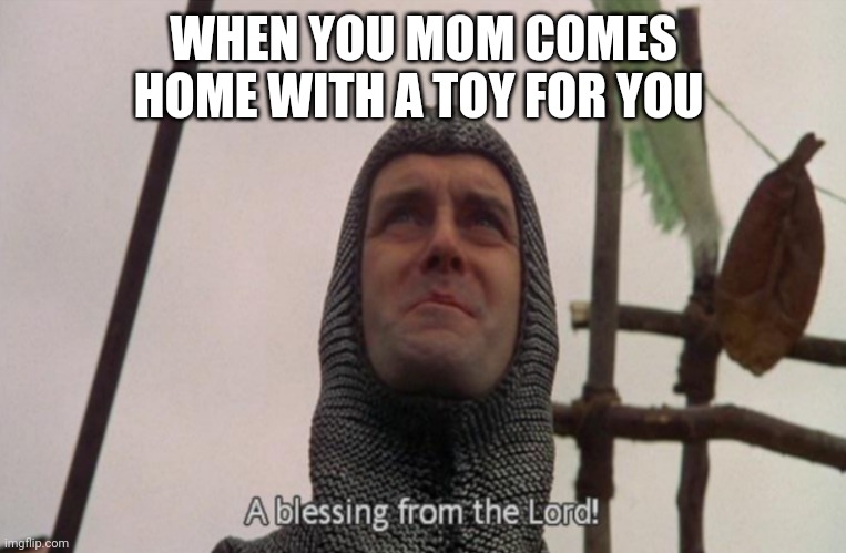 I love my mom | WHEN YOU MOM COMES HOME WITH A TOY FOR YOU | image tagged in a blessing from the lord,dude stop reading tags,barney will eat all of your delectable biscuits,stop reading the tags | made w/ Imgflip meme maker