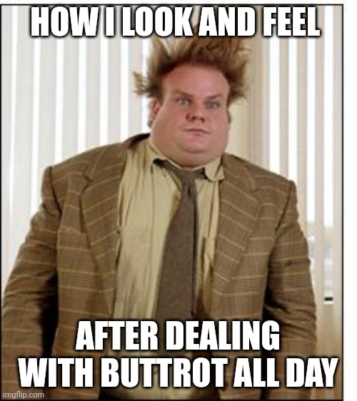 Chris Farley Hair | HOW I LOOK AND FEEL; AFTER DEALING WITH BUTTROT ALL DAY | image tagged in chris farley hair | made w/ Imgflip meme maker